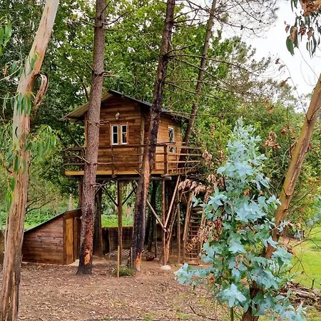 Vale Da Silva - Homes *