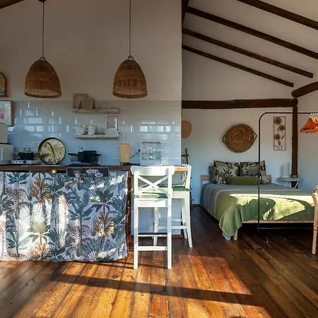 펜션 Vale Da Silva - Homes *