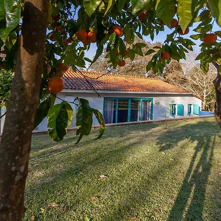 Vale Da Silva - Homes