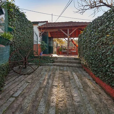 펜션 Vale Da Silva - Homes *