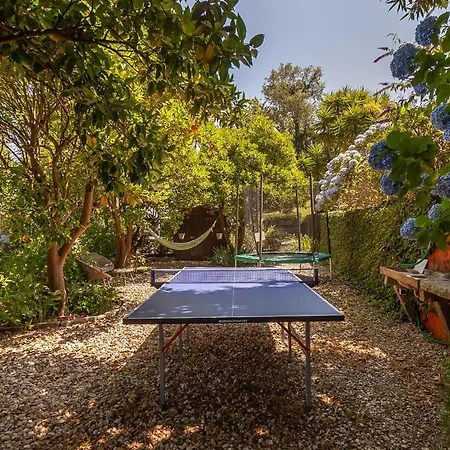 Holiday home Vale Da Silva - Homes *