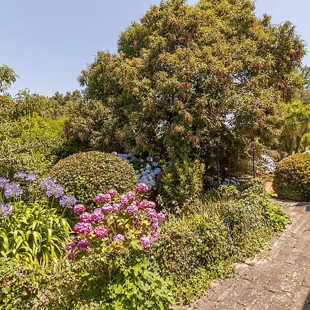 Vale Da Silva - Homes Holiday home