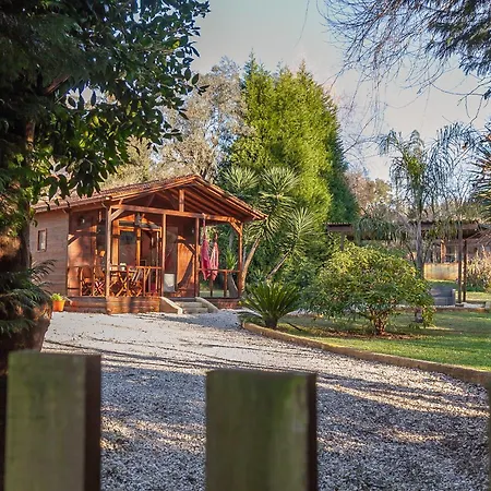 Vale Da Silva - Homes Holiday home