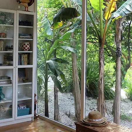 Vale Da Silva - Homes * 알버가리아아벨라