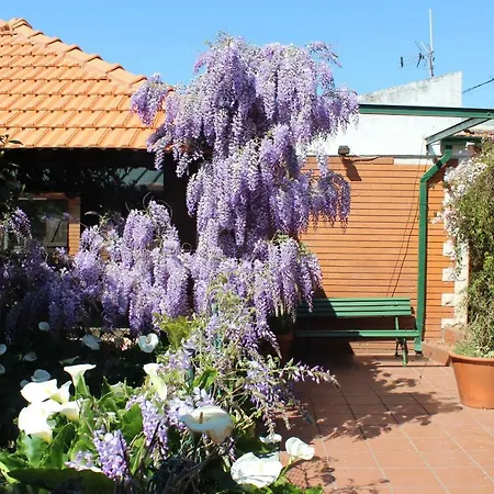 펜션 Vale Da Silva - Homes *