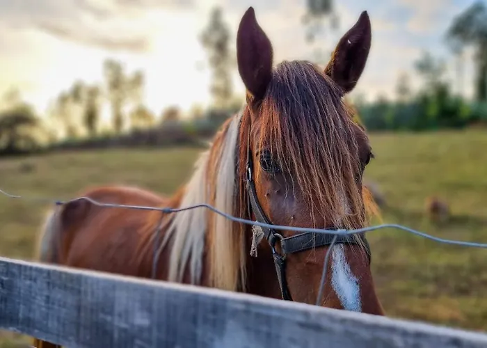 Vale Da Silva - Homes Hébergement de vacances