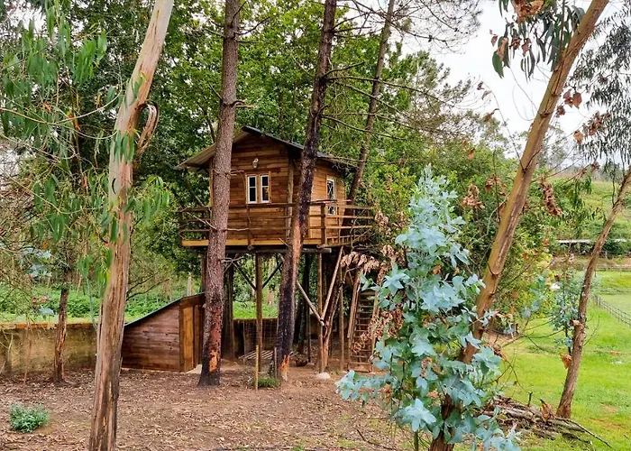 Vale Da Silva - Homes *