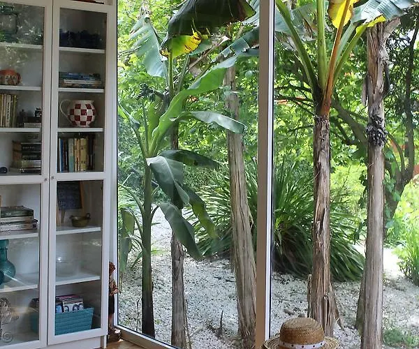 Vale Da Silva - Homes * Albergaria-a-Velha